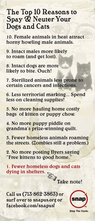 Top 10 Reasons to Spay & Neuter